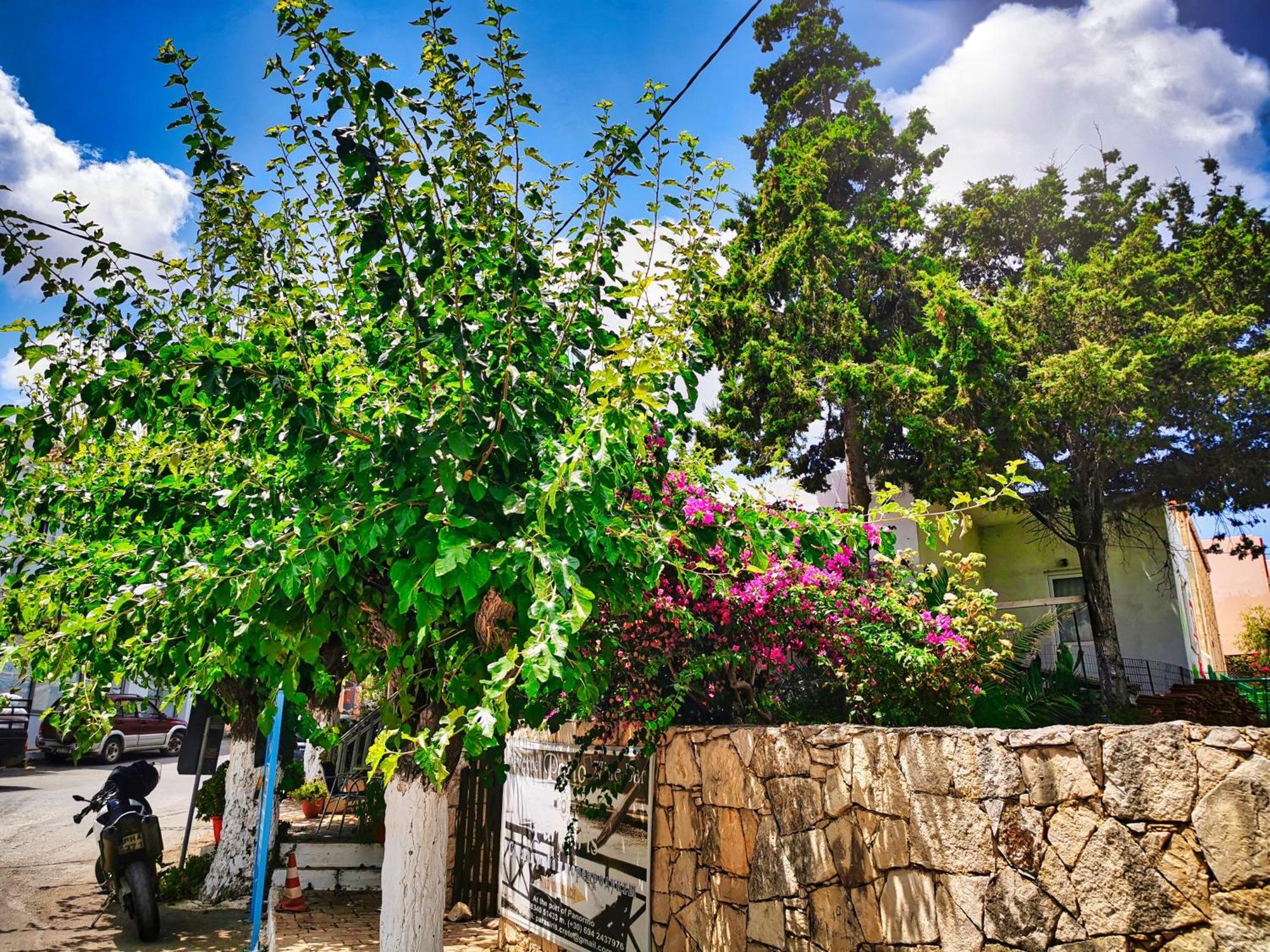 Phaos Residence, Your Stylish Crete Retreat Panormos  Bagian luar foto