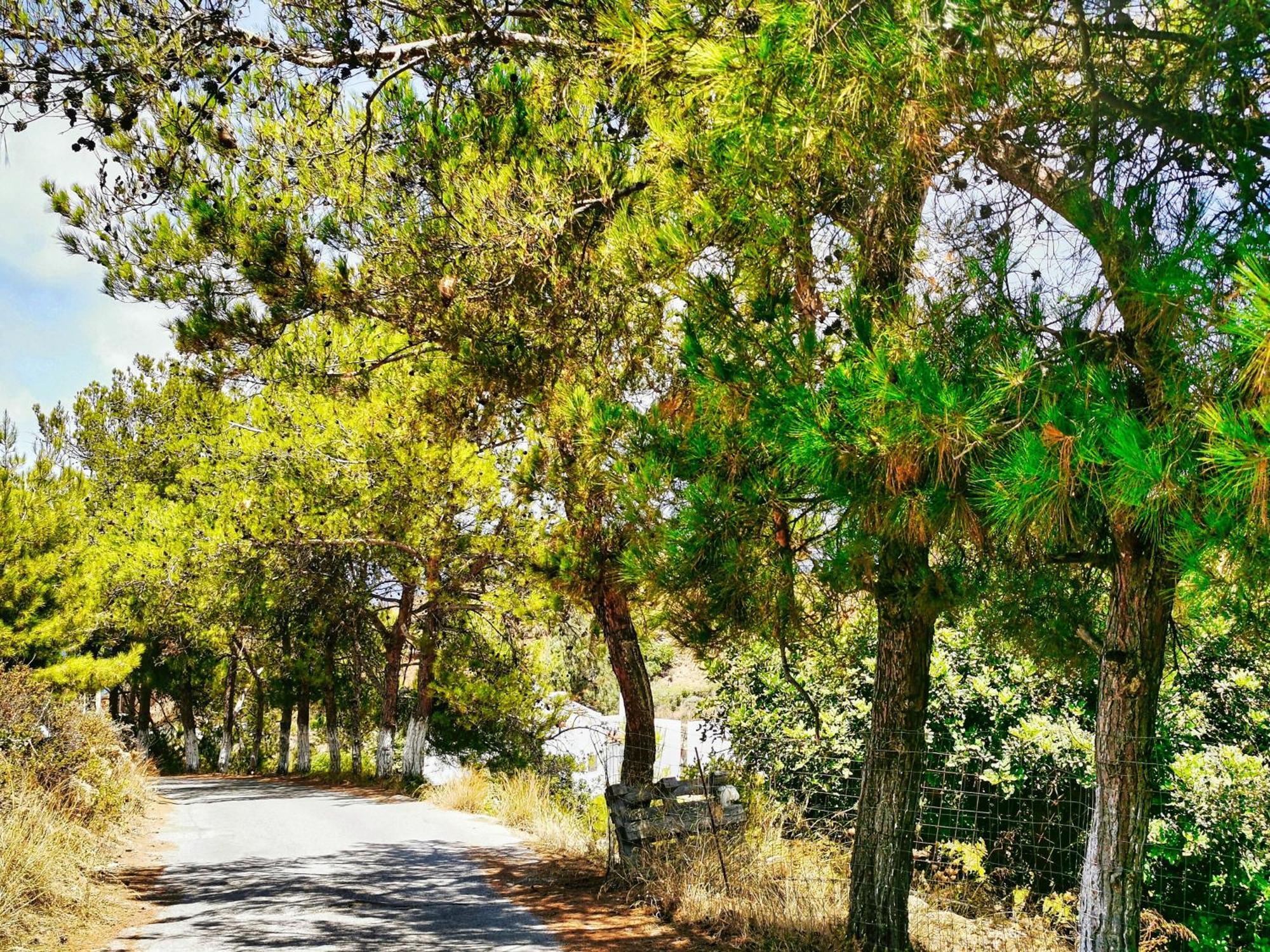 Phaos Residence, Your Stylish Crete Retreat Panormos  Bagian luar foto